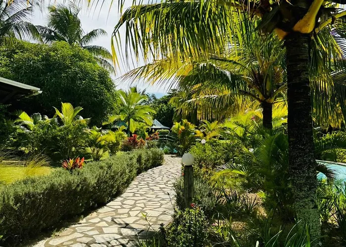 Beach Garden Studio